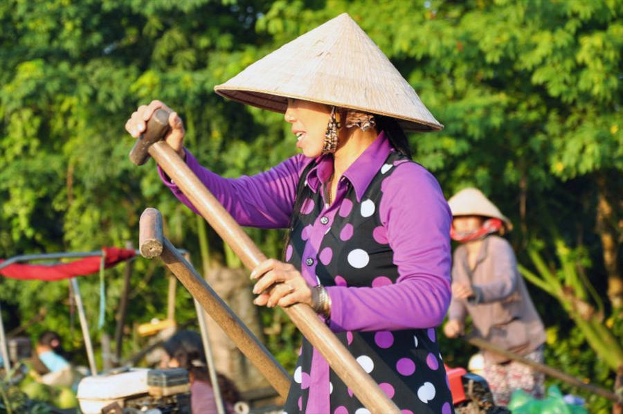 CREATOR: gd-jpeg v1.0 (using IJG JPEG v80), quality = 100