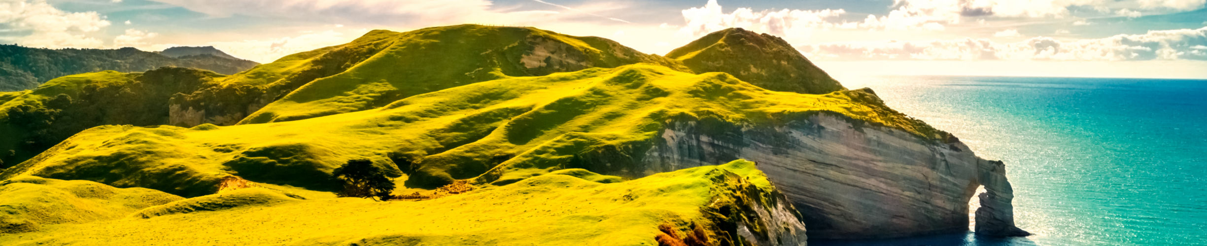 Bus-Rundreisen Europa, Rundreisen mit dem Bus