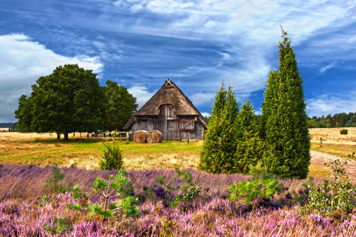 Busreisen Niedersachsen, Busreisen in die Lueneburger Heide