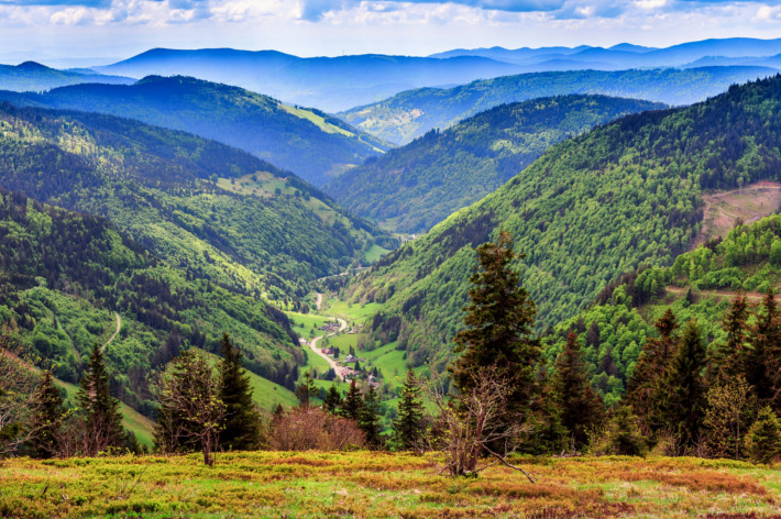 Busreisen Schwarzwald