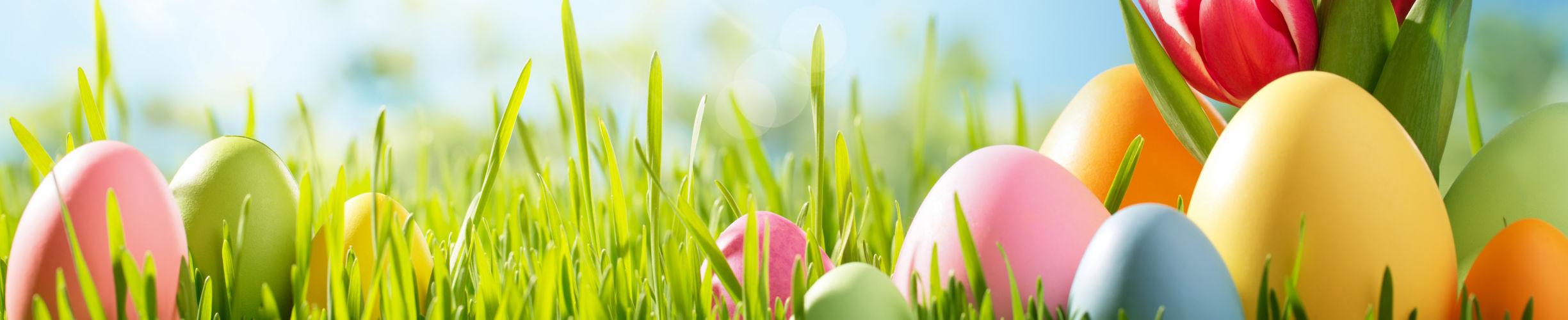 Osterreisen, Reisen über Oster, Woerlitz Tourist