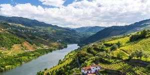 Portugal NL