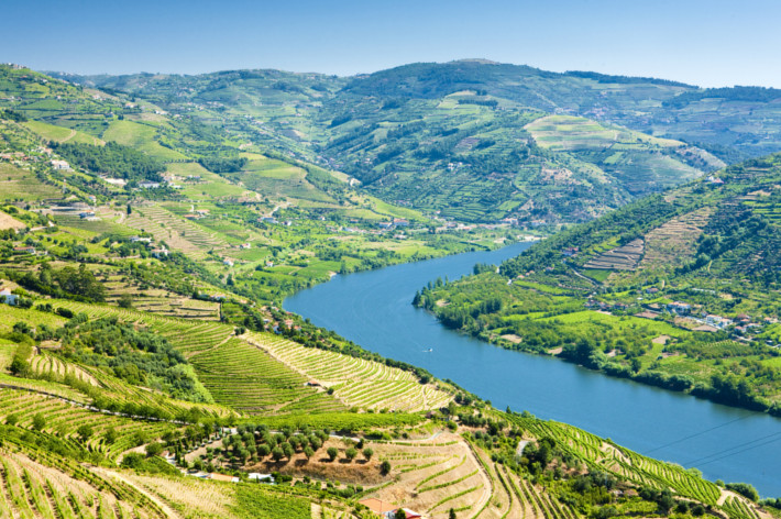Reisen Portugal Tal des Douro