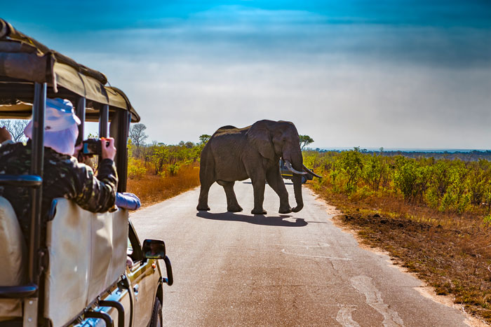 Suedafrika_700x467Px