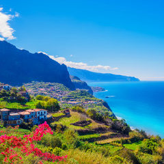 240_F_206854564_Madeira