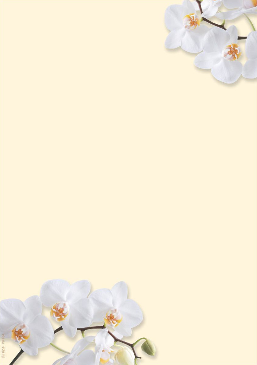 Blumen Muster Gutscheine