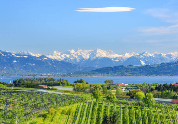 Obstbau-Landschaft am Bodensee mit Blick auf den See und die verschneite Alpenkette.
