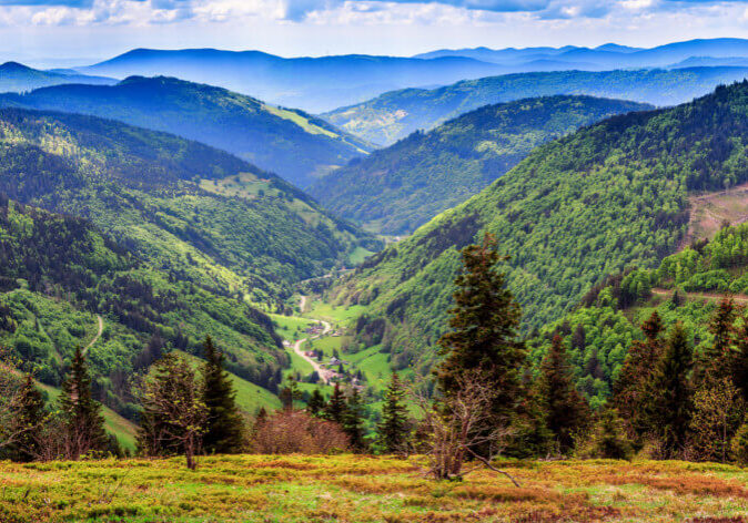 Busreisen Schwarzwald. Malerische Berglandschaft. Blick auf den Schwarzwald in Deutschland, bedeckt mit Nebel.