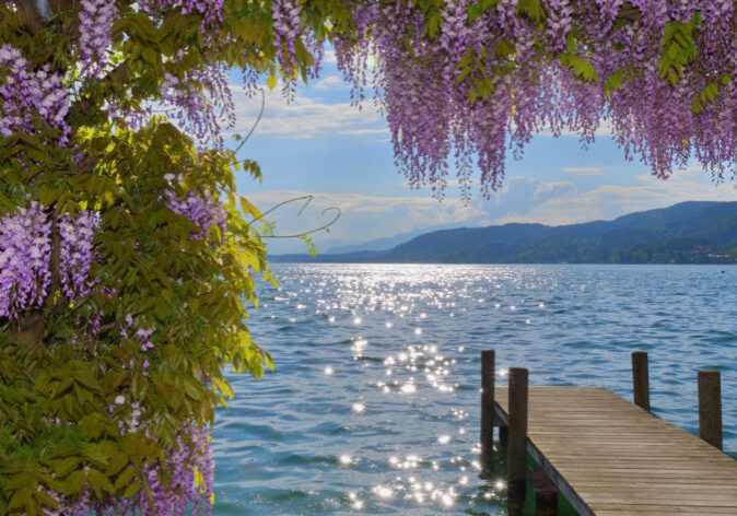 Busreise am Wörthersee mit Blick auf die malerische Landschaft und das klare Wasser.