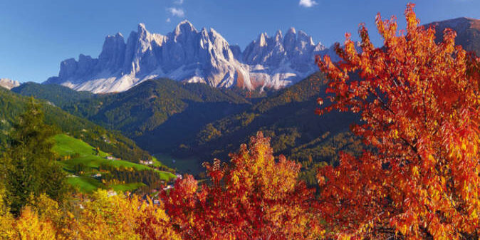 Suedtirol im Herbst zur Weinlese.