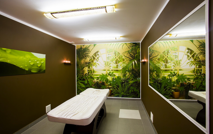 Wellness/Massage