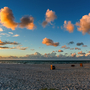 Strand bei Prerow
