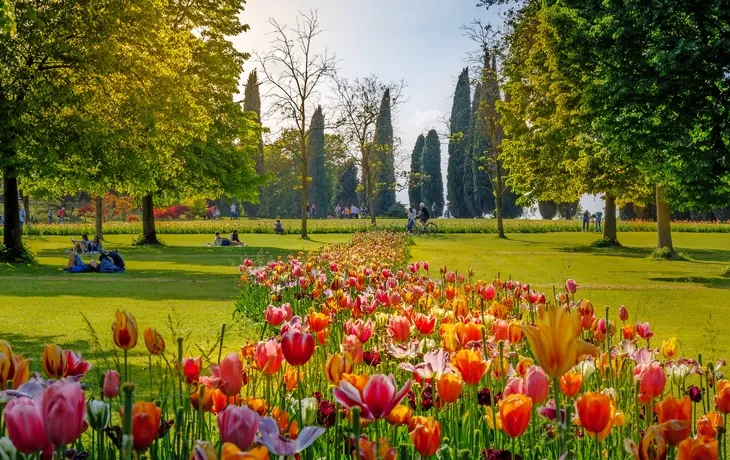 Keukenhof