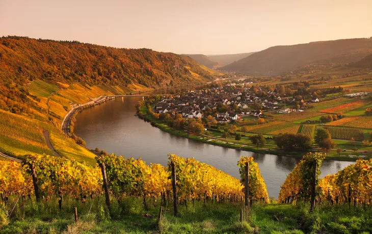 Moselschleife