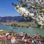 Donau