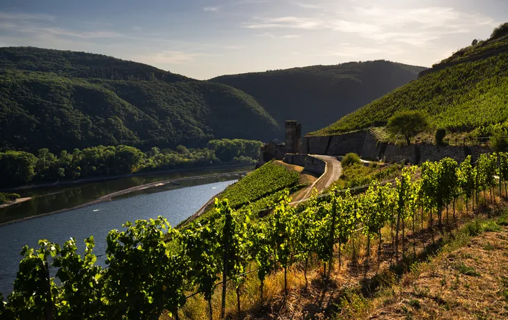 Rüdesheim