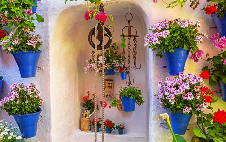 Córdoba
