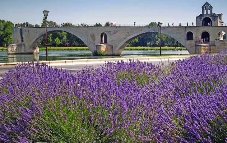 Pont Saint-Bénézet oder Pont d?Avignon in Avignon, Frankreich