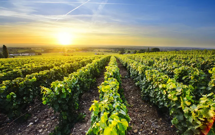 Beaujolais