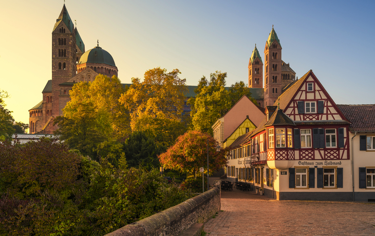 Dom zu Speyer