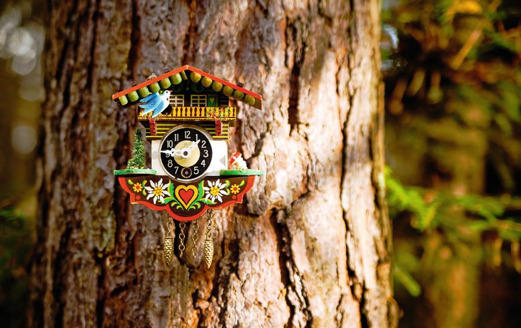 Kuckucksuhr im Wald