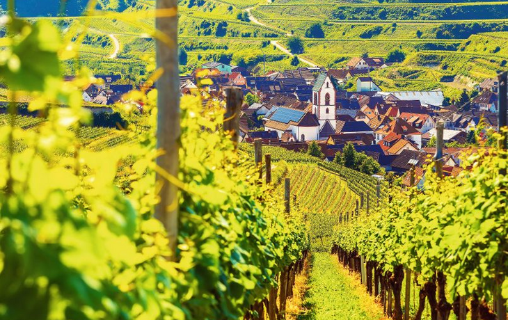 Kaiserstuhl