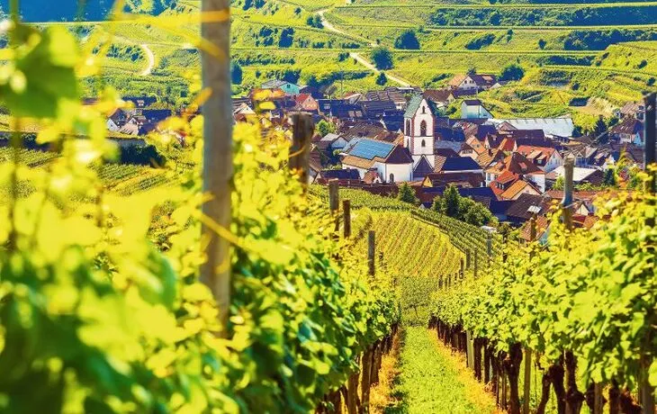 Kaiserstuhl