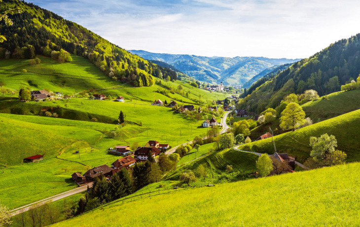 Schwarzwald