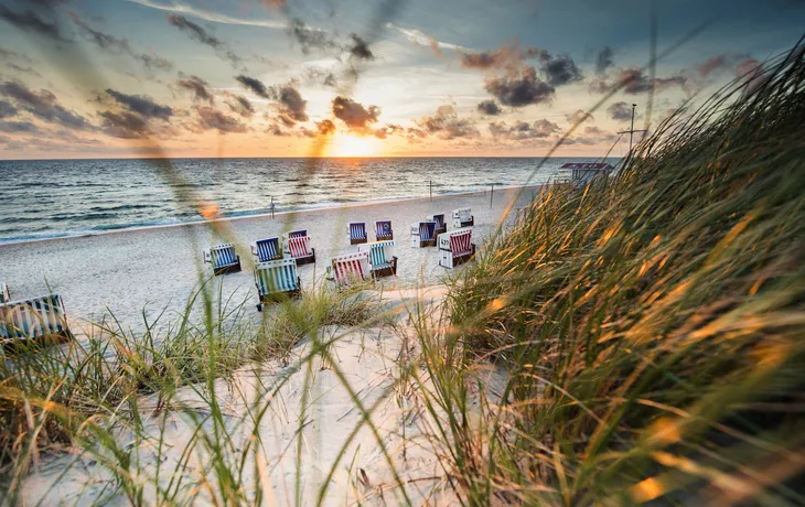 Sylt