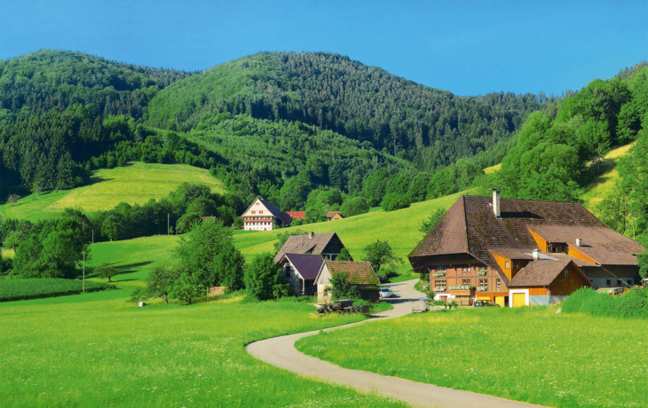 Schwarzwald
