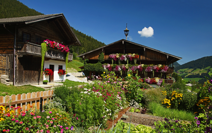 Tiroler Alpbachtal