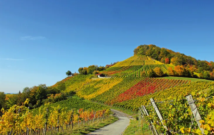 Weinberge