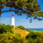 Insel Hiddensee