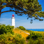 Insel Hiddensee