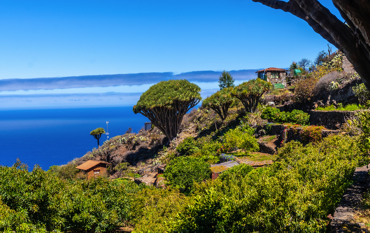 La Palma