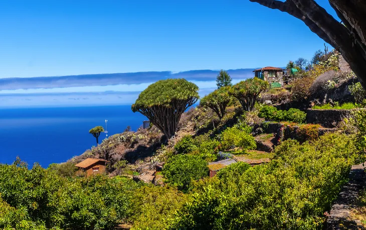 La Palma