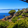 La Palma