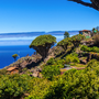 La Palma