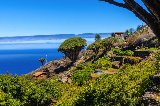 La Palma