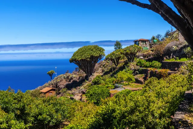 La Palma