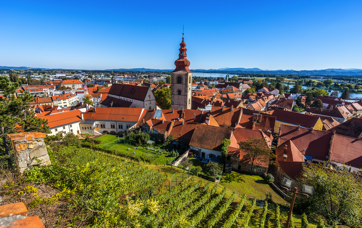 Ptuj