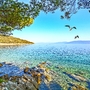 Strand in der Nähe des Dorfes Valun auf der Insel Cres, Kroatien
