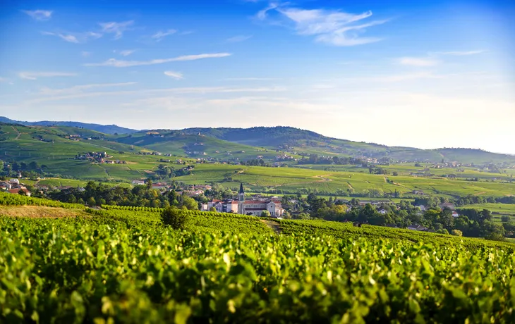 Beaujolais