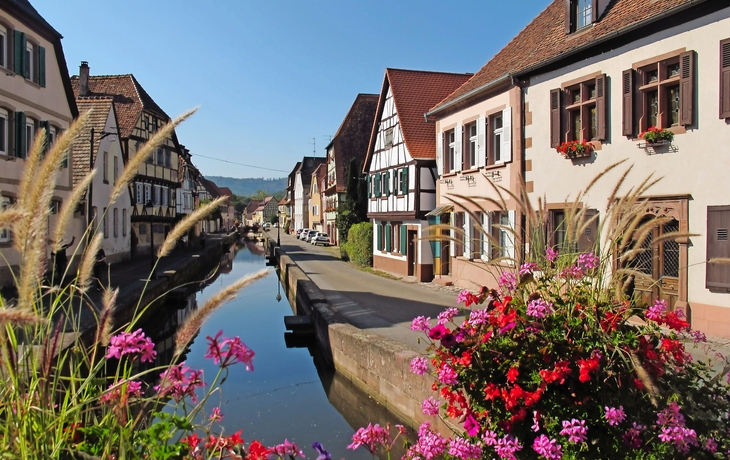 Elsass