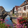 Elsass