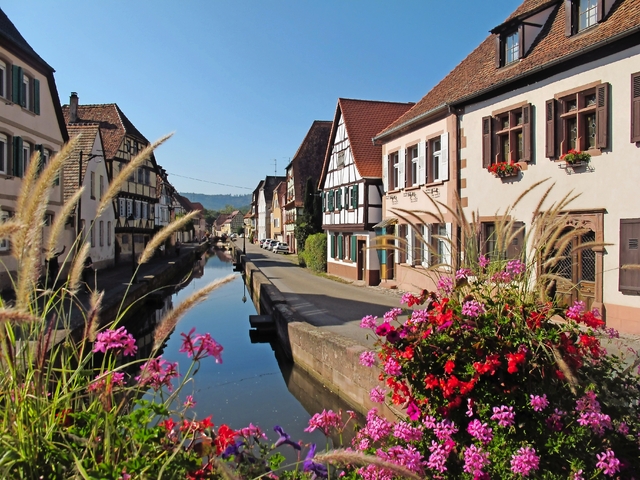 Elsass