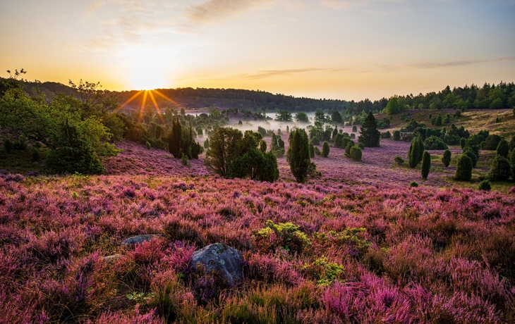 Lüneburger Heide