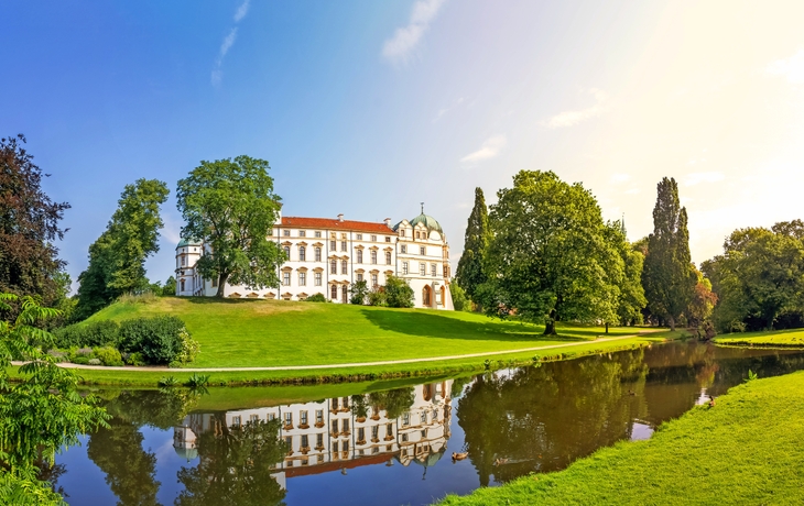 Celler Schloss