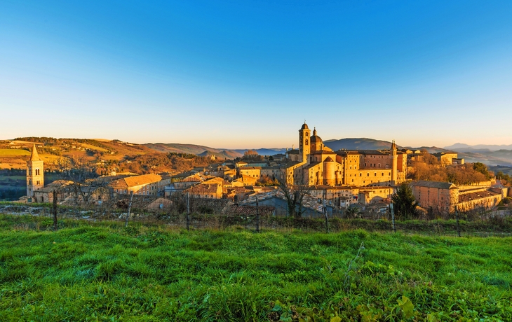 Urbino