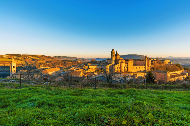 Urbino